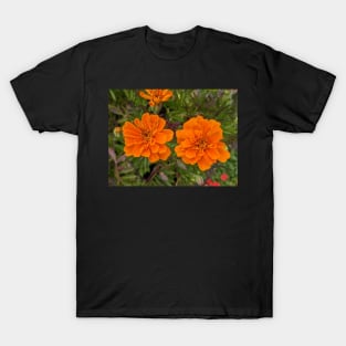 Pair of Orange Flowers Photographic Image T-Shirt